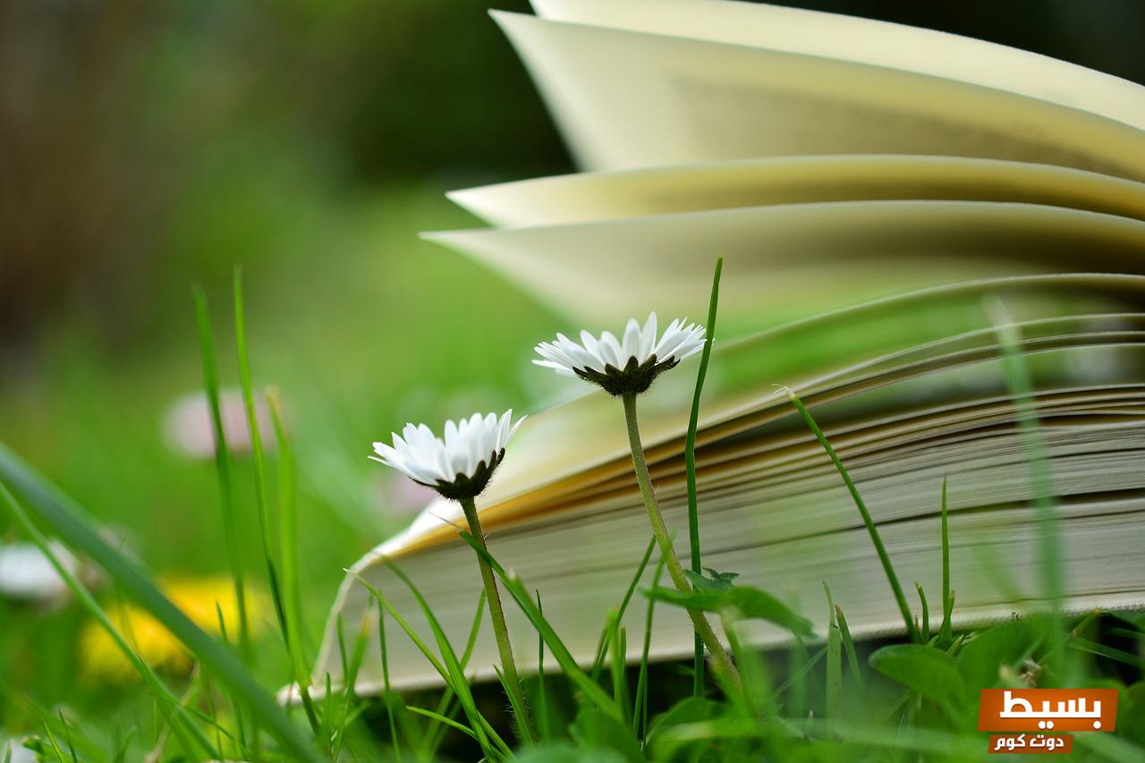 تحميل رواية سيف الليل كاملة بجميع الفصول بصيغة PDF - رحلة مثيرة في عوالم من الخيال والتشويق! 1 تحميل رواية رواية سيف الليل كاملة جميع الفصول pdf